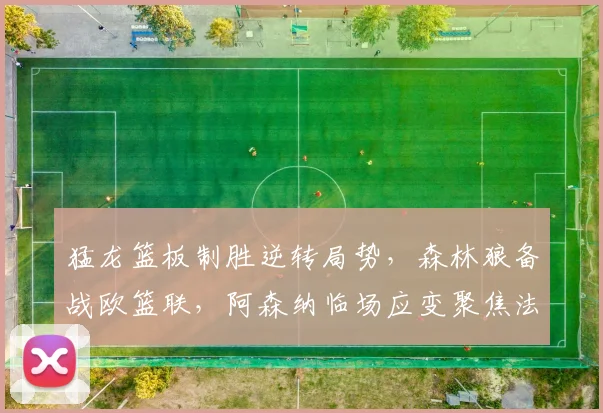 猛龙篮板制胜逆转局势，森林狼备战欧篮联，阿森纳临场应变